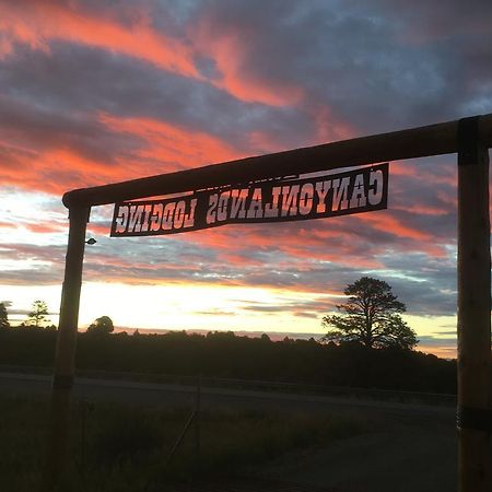 Lupine Cabin, Glamour Camping, Stunning Skies And Sunrise Views Monticello Eksteriør bilde