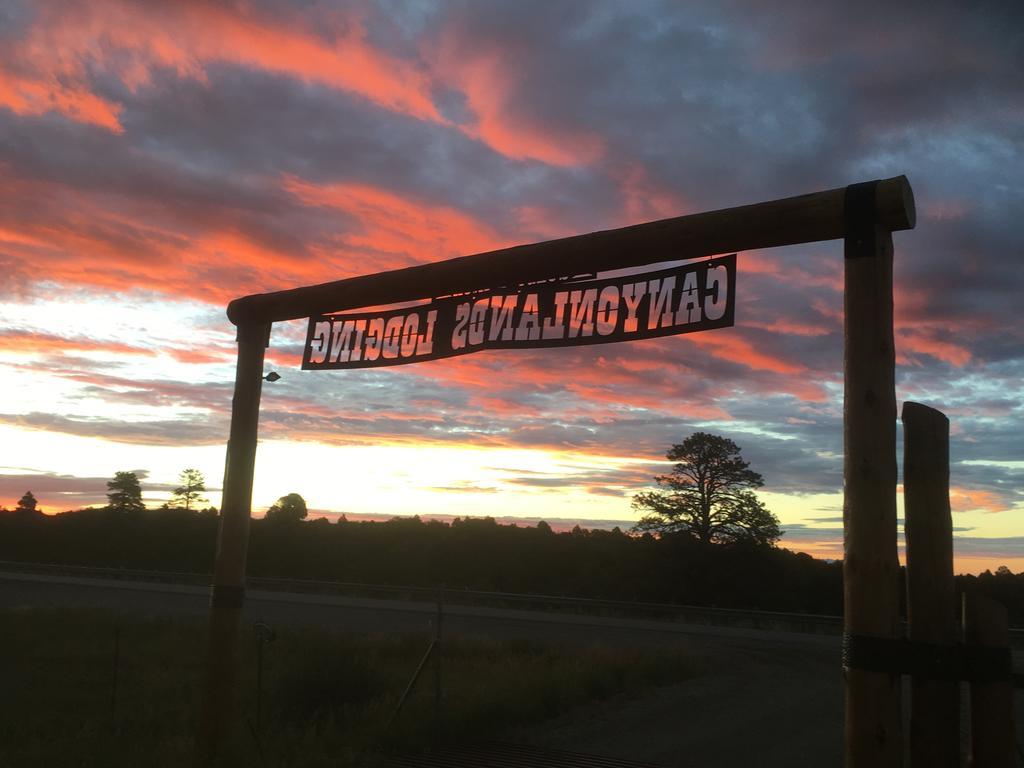 Lupine Cabin, Glamour Camping, Stunning Skies And Sunrise Views Monticello Eksteriør bilde